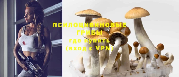 mdma Дмитриев