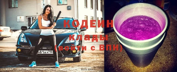 СК Дмитров