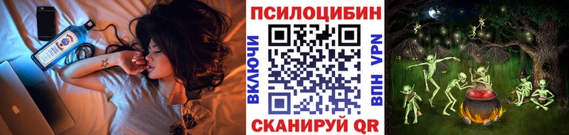 Псилоцибиновые грибы мицелий  Купить закладки  Карабаш 